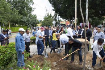Impulsa Fundación Alfredo Harp Helú Oaxaca reforestación urbana de la capital oaxaqueña