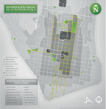 Impacto de la reforestación urbana