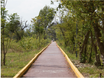 CONABIO/FAHHO/RÍO ARRONTE