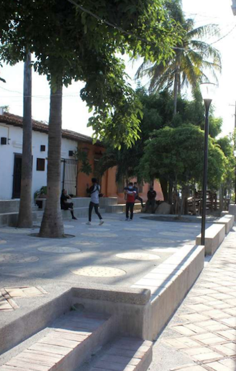 Arbolado urbano: Parque Bigarii