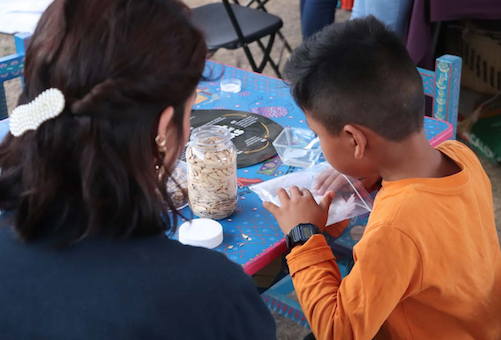 XI Feria de la Agrodiversidad: aprender a través del juego