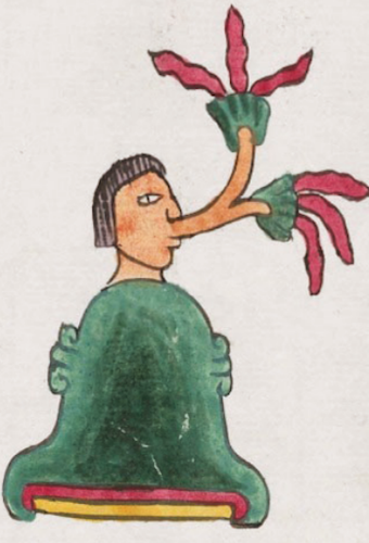 Huaxyácac: Un nombre que florece