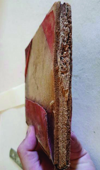 ¿Tu libro se está dañando? Aprende a reconocerlo a tiempo