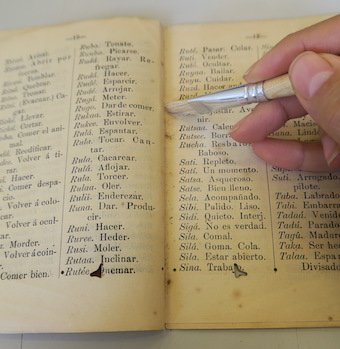 ¿Por qué el polvo daña los libros?