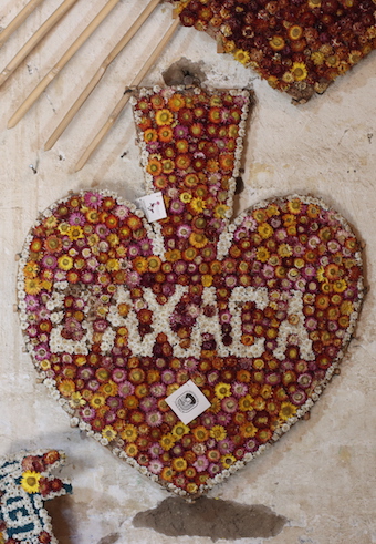 Biushita: La flor inmortal de Oaxaca