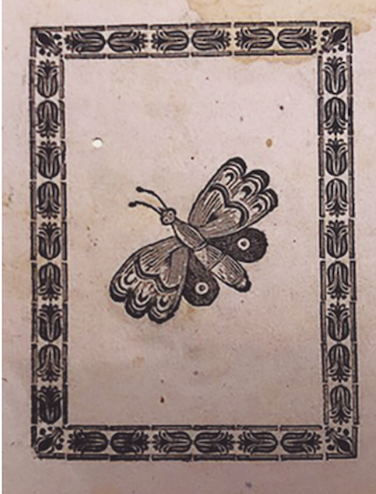 Lenguaje de aves y frutas o El libro de la mariposa