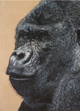 María Sada. Memorias de la Tierra