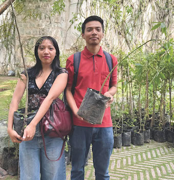 Adopta un árbol: 20 años sembrando esperanza para Oaxaca