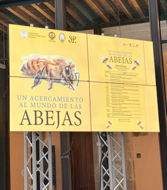 En honor a las abejas