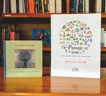 Bibliomancia: el libro que te elige