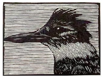 Homenaje al impresor Juan Pascoe y al Taller Martín Pescador